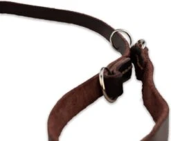 Multifunctionele Hondenriem - 220cm - Bruin - Leren Hondenriem - 100% Volnerfleer - Hondenriem Leer - Leiband Hond -PetSafe Huisdieren Verkoopwinkel 1200x993