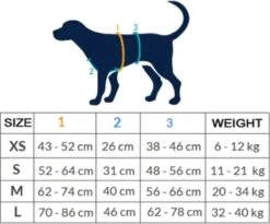 AnnyX Hondentuig - FUN - LIMTED EDITION - Speurtuig - Camouflage - Legergroen - Maat S - Borstomvang 52-64cm - Gewicht Hond 9 -19 Kg - My K9 6 AnnyX Hondentuig - FUN - LIMTED EDITION - Speurtuig - Camouflage - Legergroen - Maat S - Borstomvang 52-64cm - Gewicht Hond 9 -19 Kg - My K9 -PetSafe Huisdieren Verkoopwinkel 1200x995