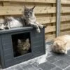RHRQuality Kattenhuis Voor Binnen En Buiten Kattenhok Villa De Luxe Grijs