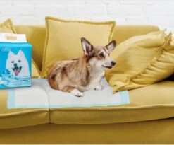 Nobleza 48LXB - Puppy Training Pads - 60 X 90 Cm - Zindelijkheidstraining - 100 Stuks -PetSafe Huisdieren Verkoopwinkel 1200x997