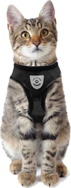 Merkloos Kattentuigje Met Looplijn | Zwart Kattenharnas | Easy Step In | Kattenriem | Kattenlijn | Kattentuig | Maat S 13 Merkloos Kattentuigje Met Looplijn | Zwart Kattenharnas | Easy Step In | Kattenriem | Kattenlijn | Kattentuig | Maat S -PetSafe Huisdieren Verkoopwinkel 457x1200