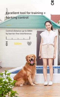 Anti Blafband EN Trainingshalsband In 1 - UNIEK SYSTEEM - 1000m Bereik - 100 Levels - Trainingsband - Antiblafband - Teletac - Geluid En Vibratie/trilling - Grote En Kleine Honden - Volledig Waterdicht - Anti Blafband -PetSafe Huisdieren Verkoopwinkel 744x1200