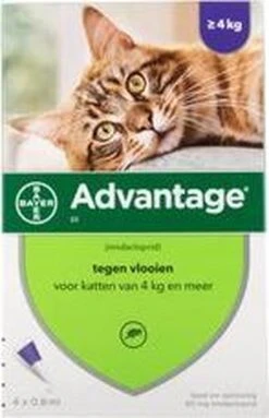 Advantage 80 Vlooiendruppelsl Kat Vanaf 4 Kg - 4 Pipetten -PetSafe Huisdieren Verkoopwinkel 773x1200 1