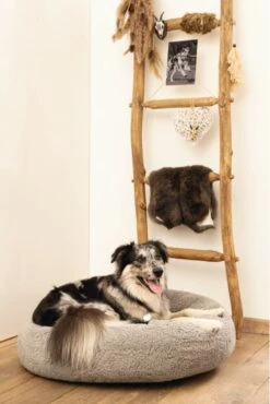 Beeztees Orthopedische Hondenmand Jaxx Grijs 70 Cm - Hond 7 Beeztees Orthopedische Hondenmand Jaxx Grijs 70 Cm - Hond -PetSafe Huisdieren Verkoopwinkel 801x1200