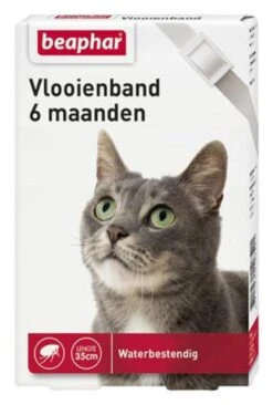 Beaphar Vlooienband - Wit - 1 Stuk -PetSafe Huisdieren Verkoopwinkel 810x1200