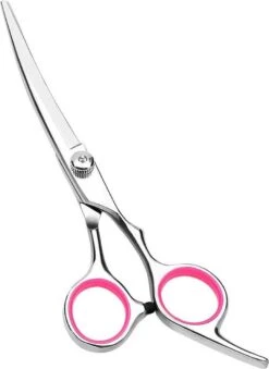 Professor Q - Hondenschaar Krom - Krommende Hondenschaar Rechts - Professionele Hondenschaar -PetSafe Huisdieren Verkoopwinkel 875x1200 2