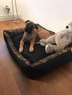 Hondenmand Cordura XXXL – Donkergrijs - 125 X 90 X 24 Cm -PetSafe Huisdieren Verkoopwinkel 900x1200 13