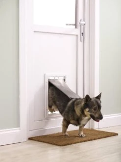 Petsafe 660 Hondenluik - Tot 100 Kg - Aluminium -PetSafe Huisdieren Verkoopwinkel 900x1200 4