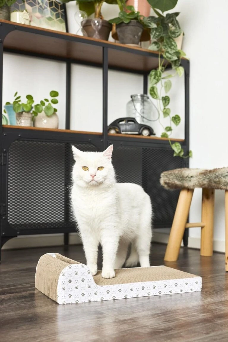 PetSafe Huisdieren Verkoopwinkel -PetSafe Huisdieren Verkoopwinkel 800x1200 14 768x1152 1